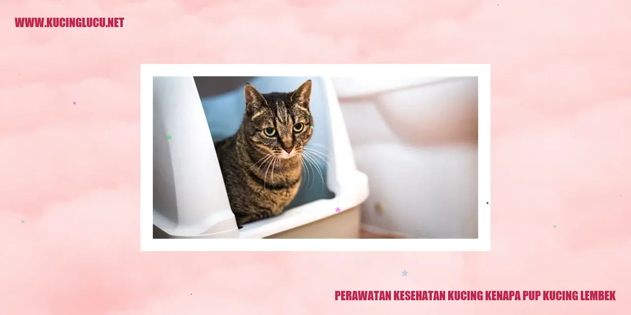 Perawatan Kesehatan Kucing kenapa pup kucing lembek