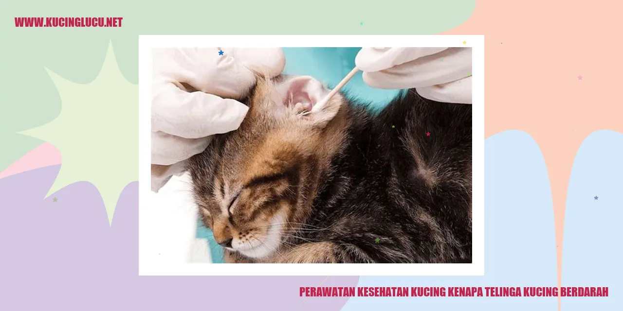 Perawatan Kesehatan Kucing kenapa telinga kucing berdarah