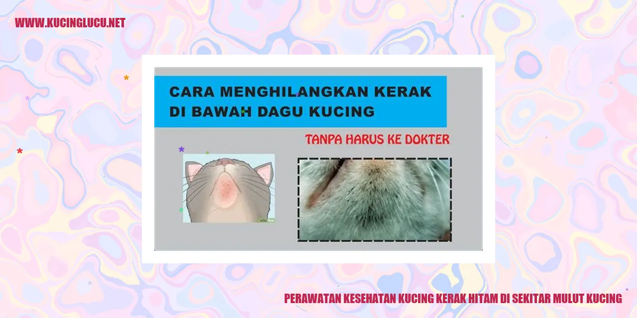 Perawatan Kucing Kerak Hitam