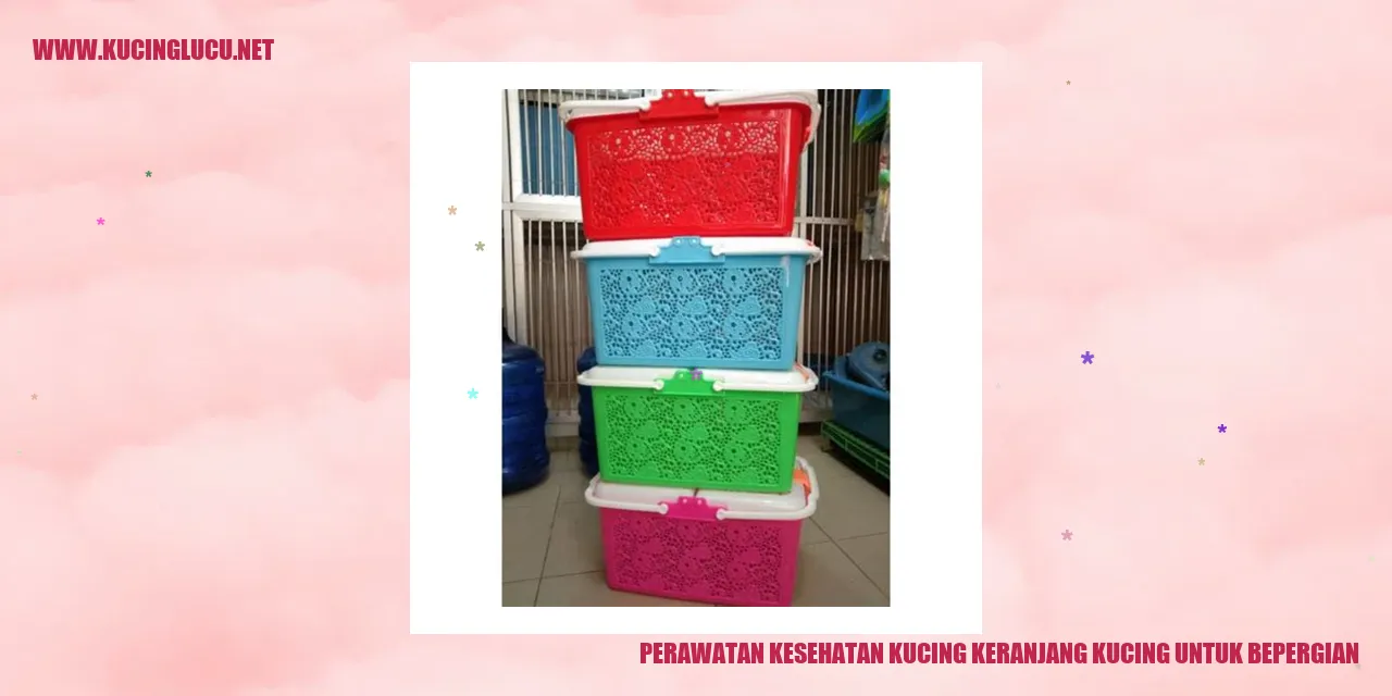 Kucing dalam keranjang