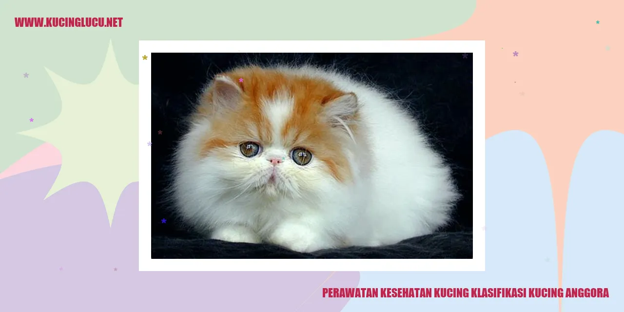 Kucing Anggora yang Indah