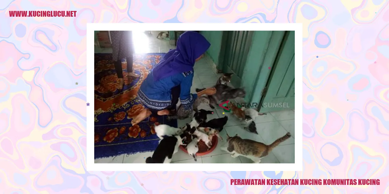 Perawatan Kesehatan Kucing