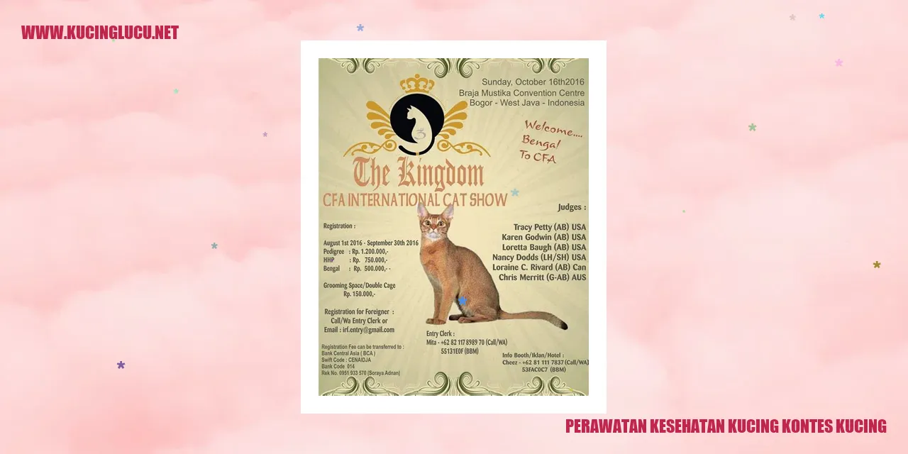Perawatan Kesehatan Kucing Kontes Kucing