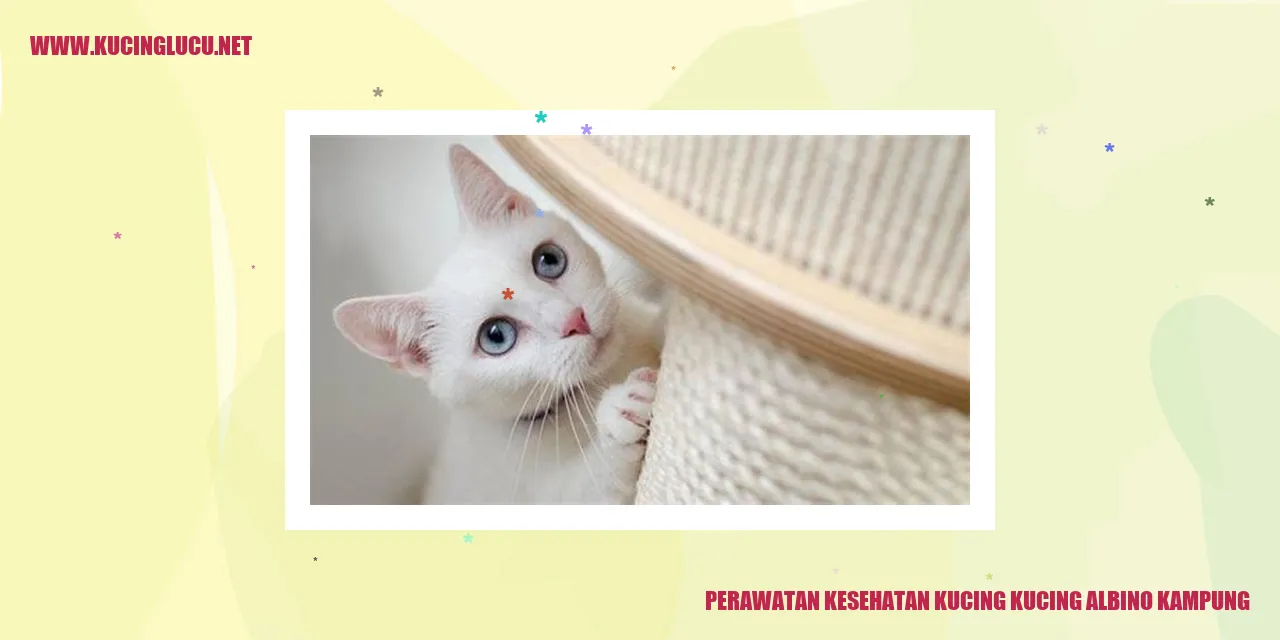 Kucing Albino Kampung