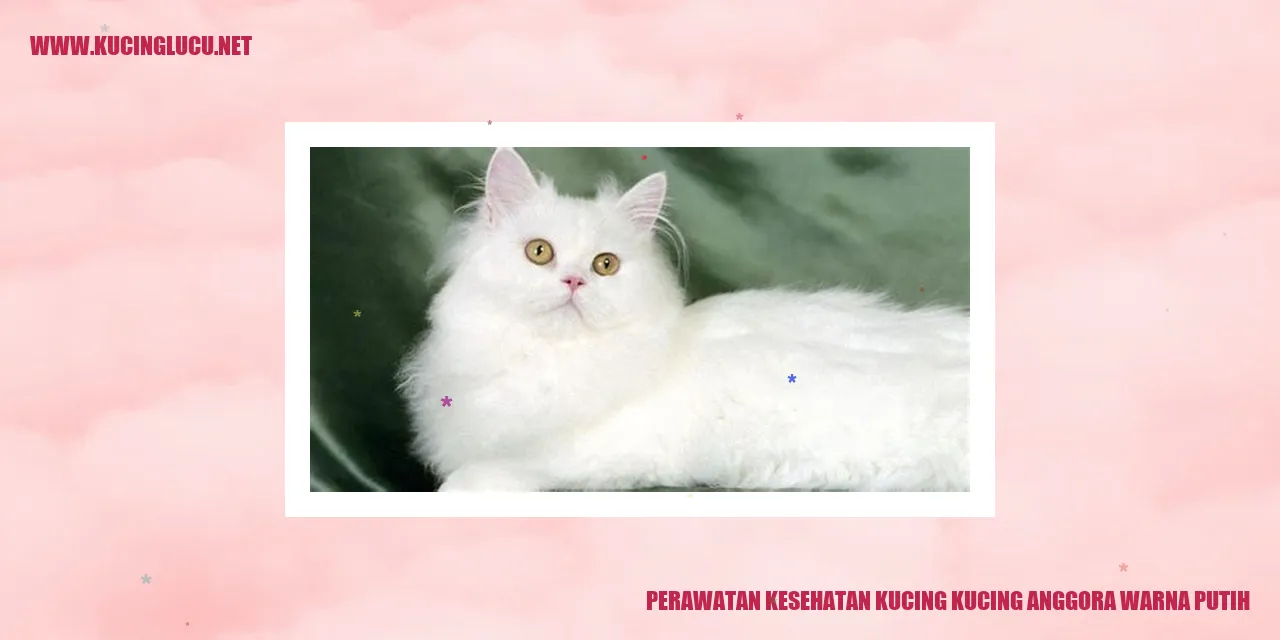 Perawatan Kesehatan Kucing Anggora Warna Putih