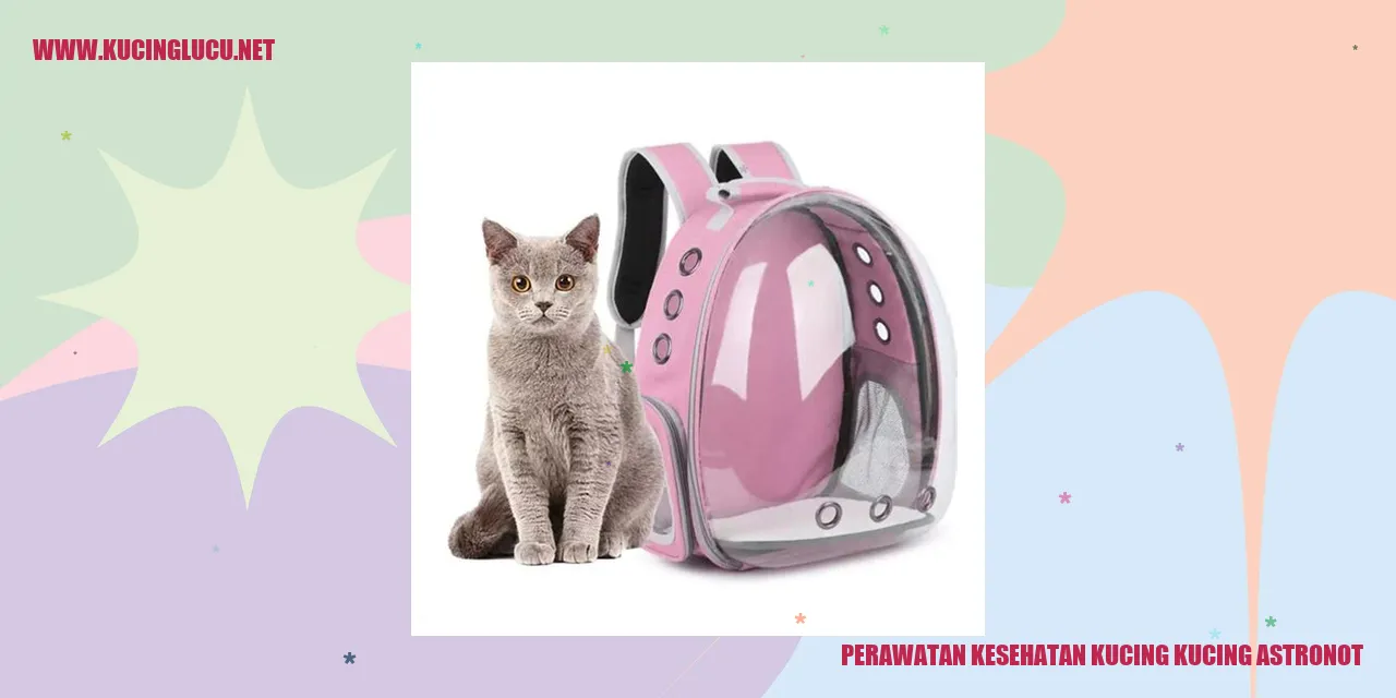 Kucing Astronot
