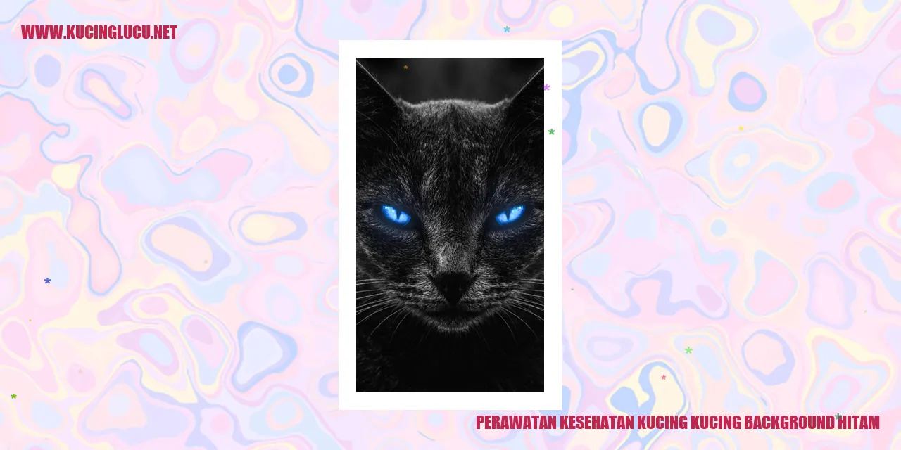 Kucing dengan bulu hitam