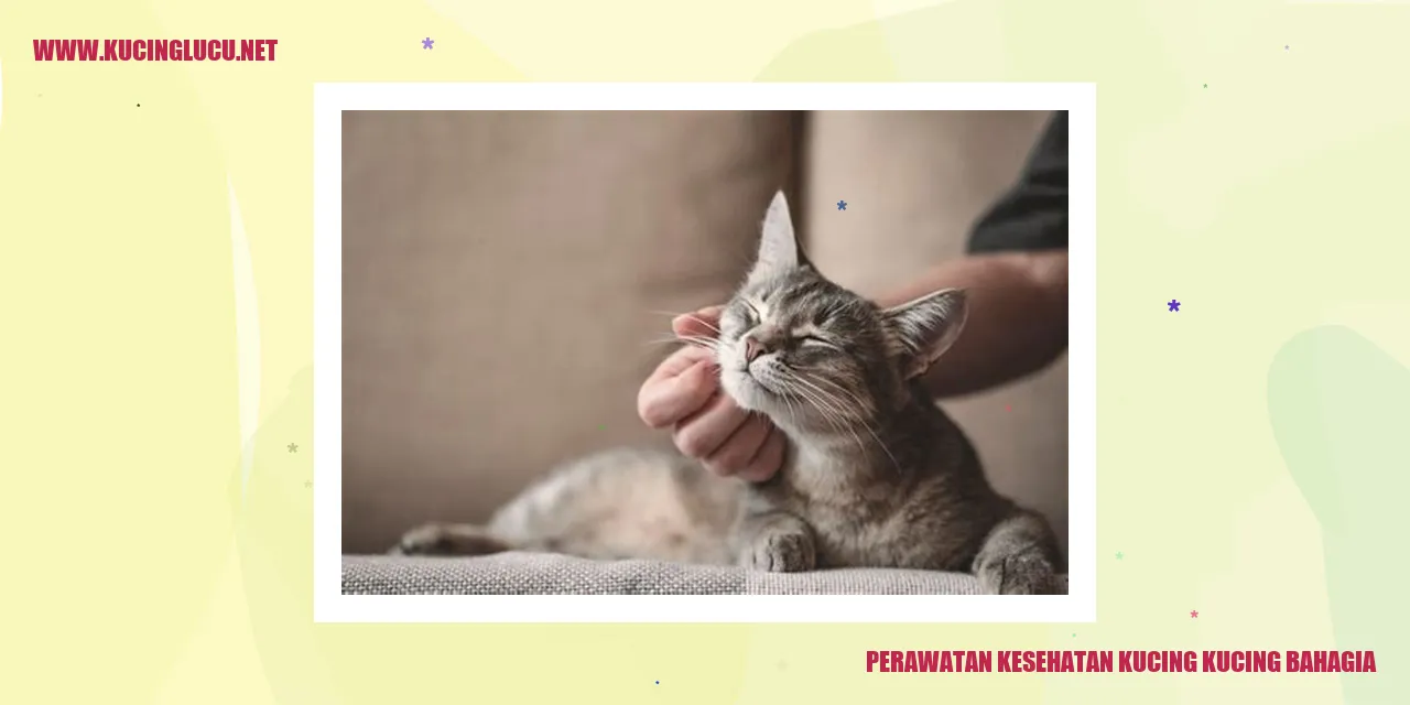 Gambar Perawatan Kesehatan Kucing
