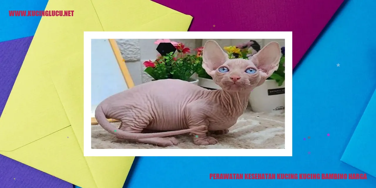 Perawatan Kesehatan Kucing Bambino Harga