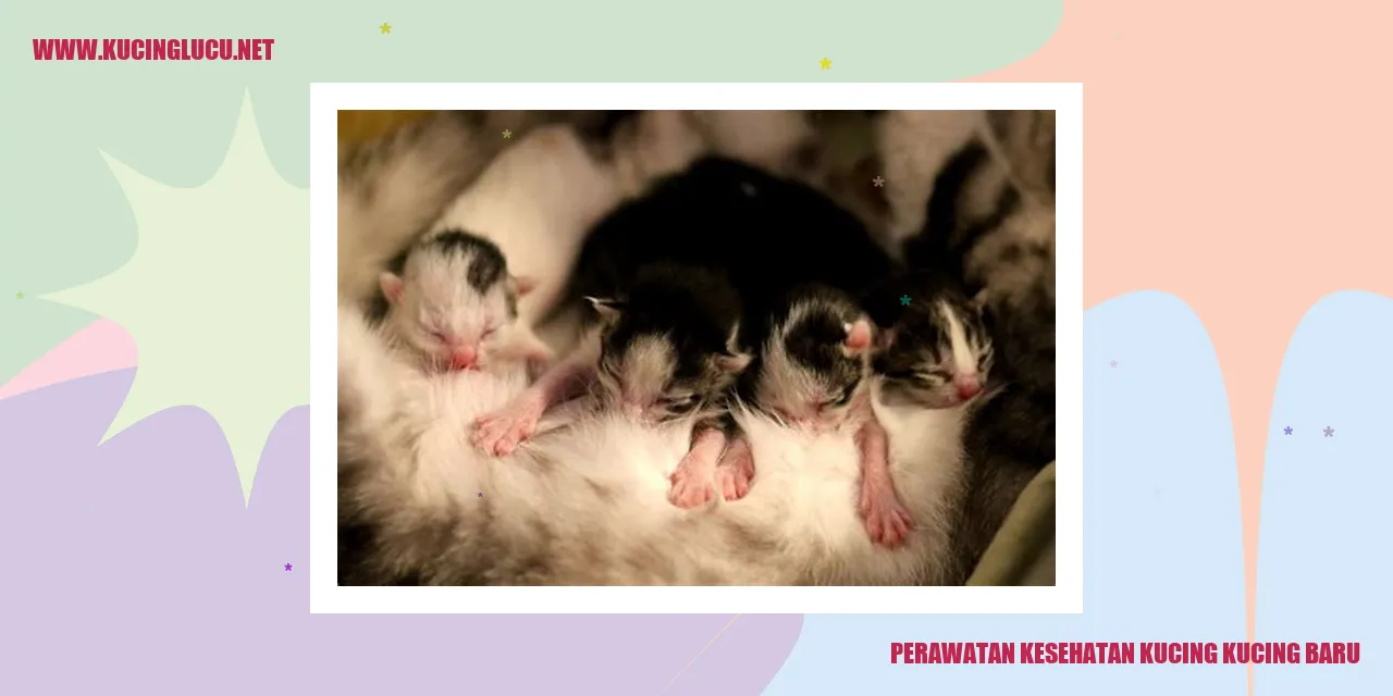 Perawatan Kesehatan Kucing Baru