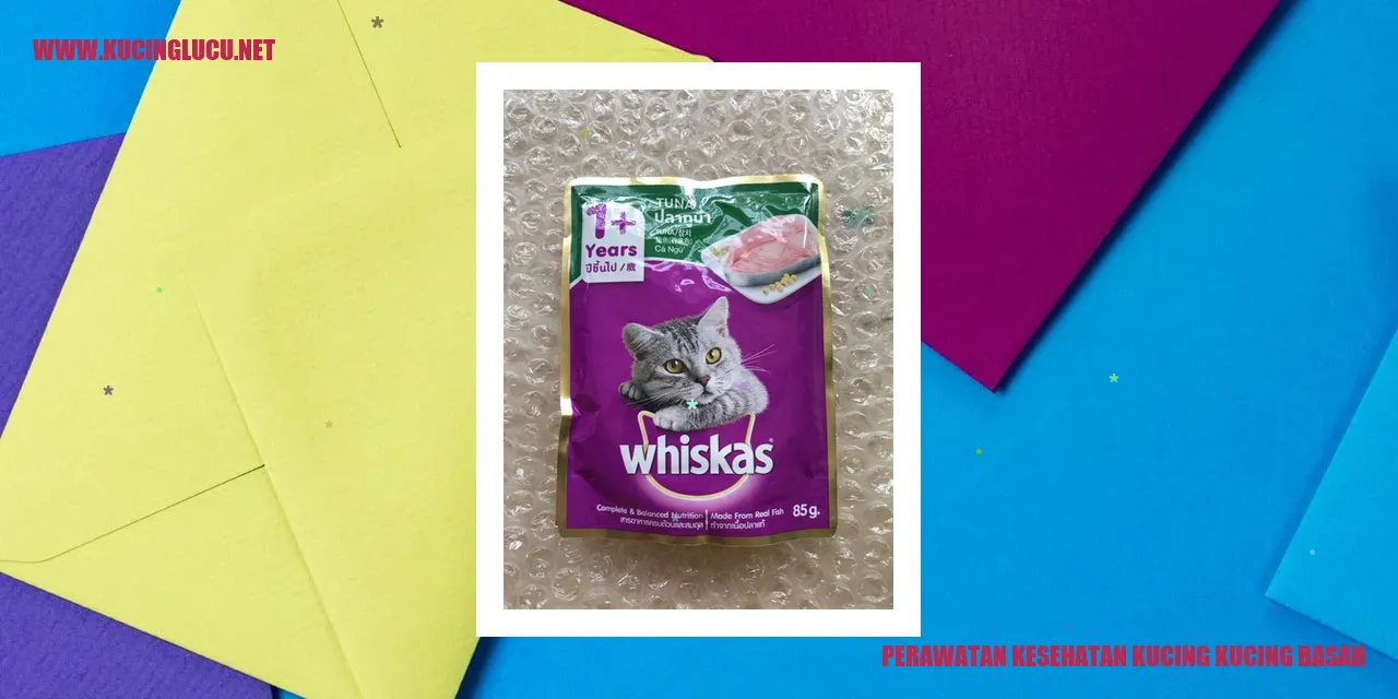 Perawatan Kesehatan Kucing kucing basah