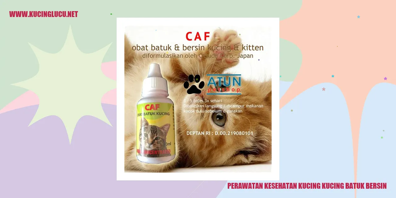 Gambar Kucing