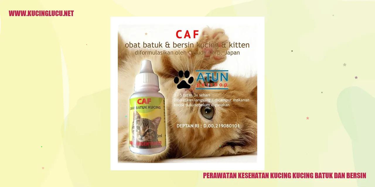 Perawatan Kesehatan Kucing kucing batuk dan bersin