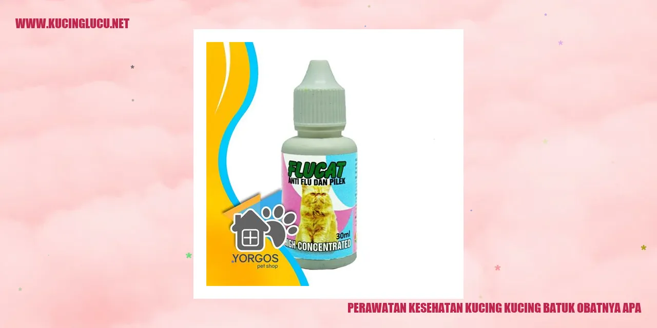 Gambar Kucing Batuk