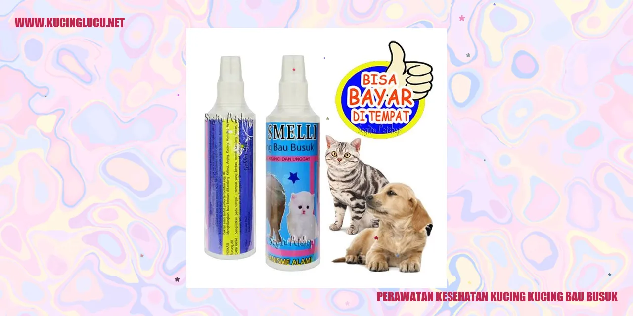 Kucing Mengeluarkan Bau Busuk