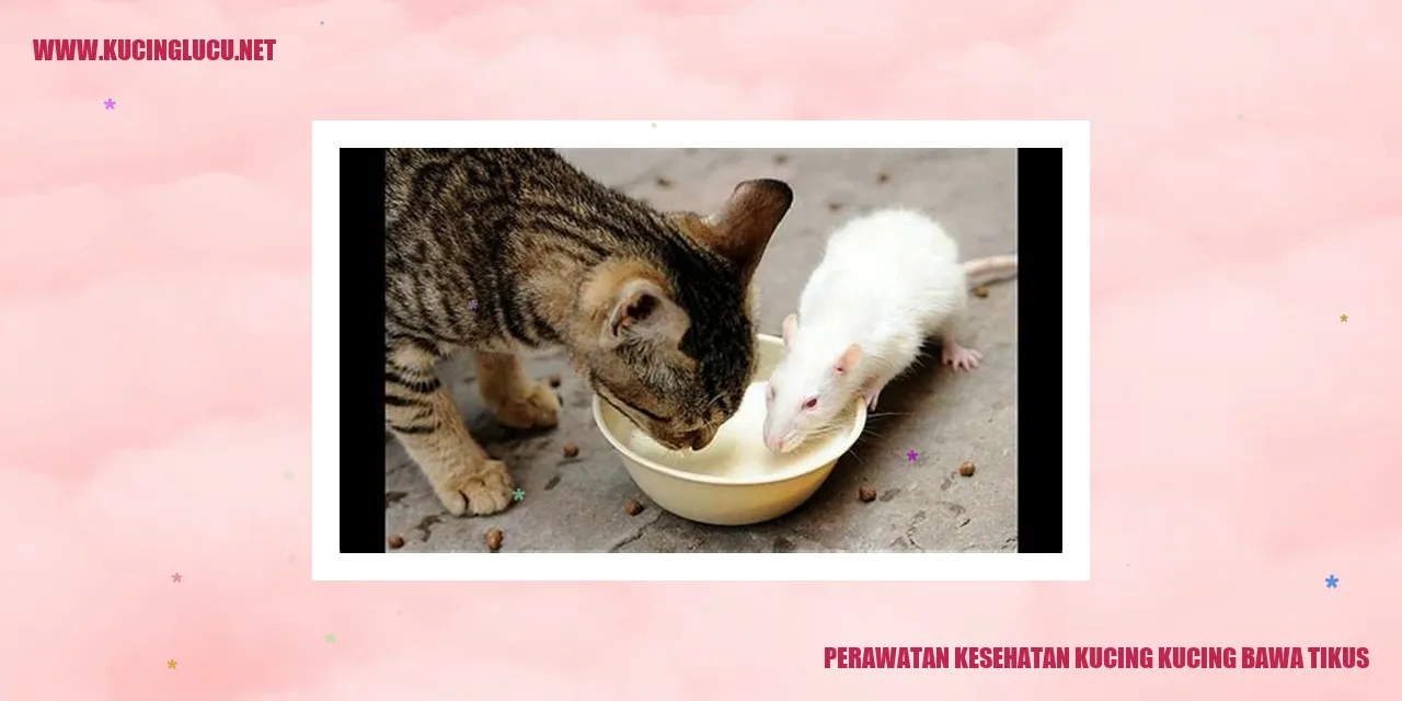 Gambar Perawatan Kesehatan Kucing