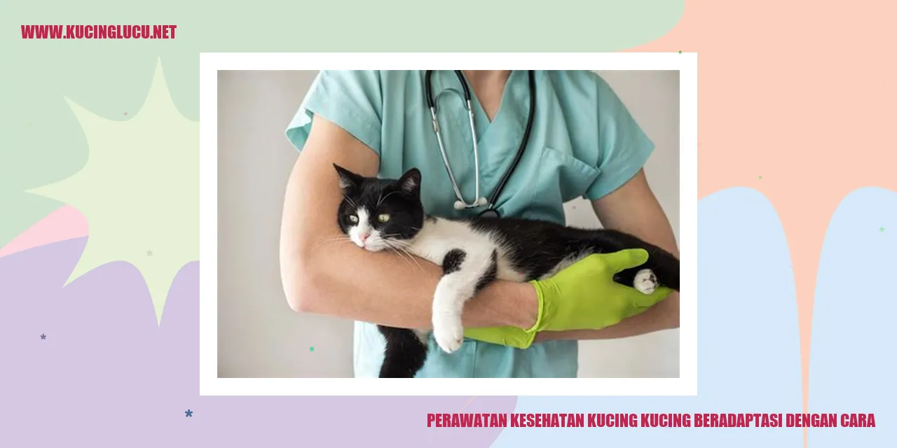 Perawatan Kesehatan Kucing