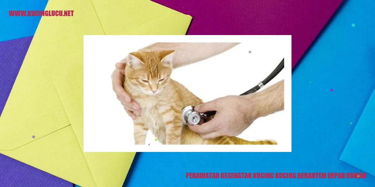 Perawatan Kesehatan Kucing