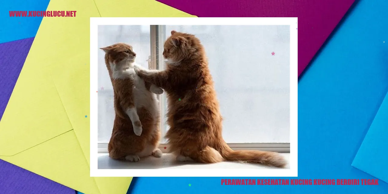 Gambar Kucing Tegak