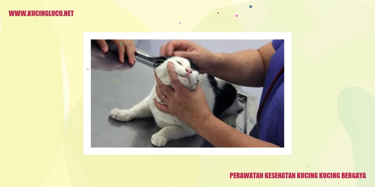 Perawatan Kesehatan Kucing yang Rupawan
