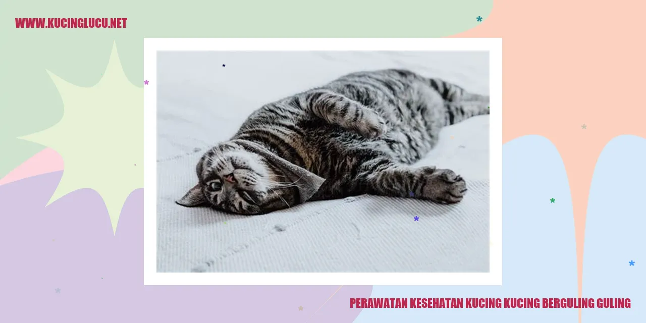 Perawatan Kesehatan Kucing