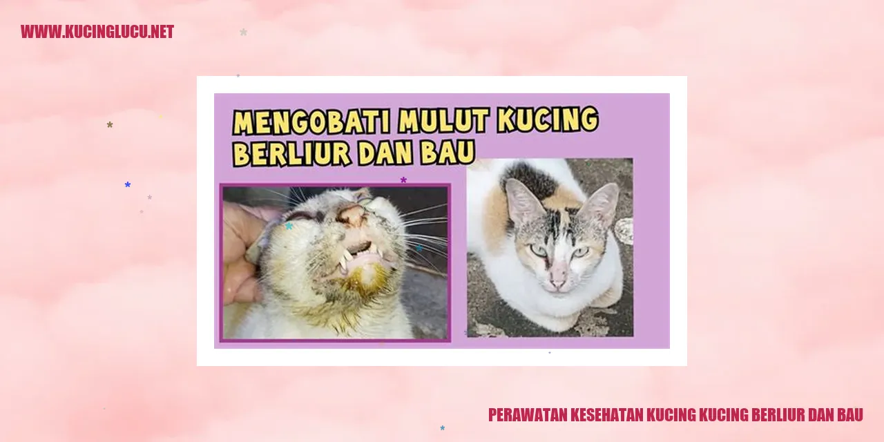 Perawatan Kesehatan Kucing