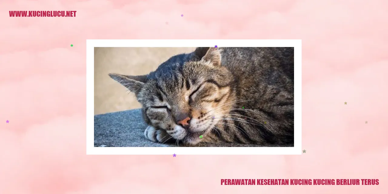 Perawatan Kesehatan Kucing
