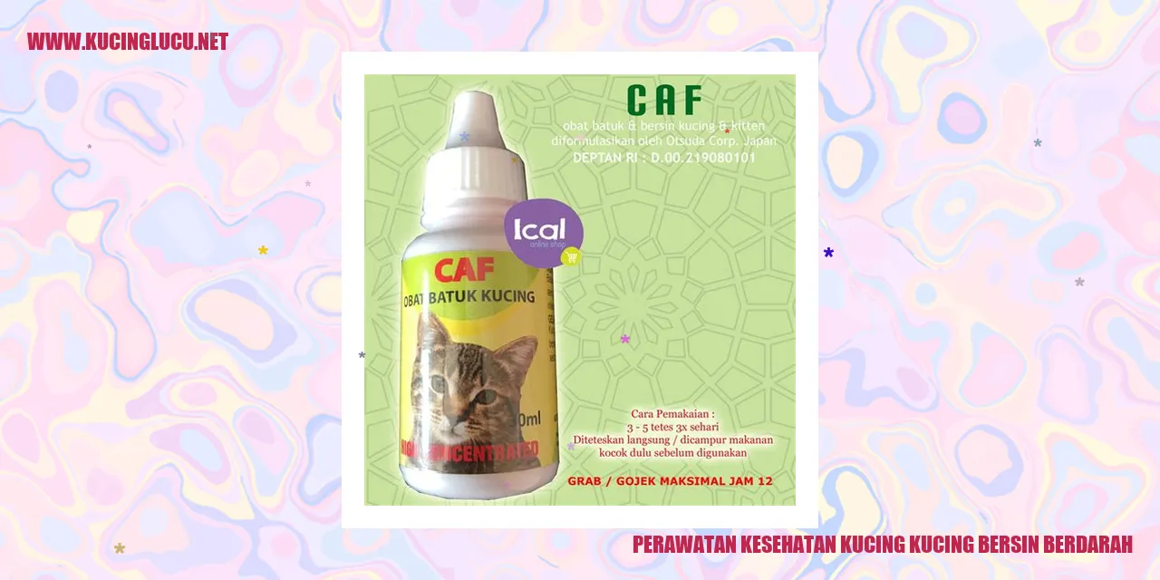 Perawatan Kesehatan Kucing kucing bersin berdarah