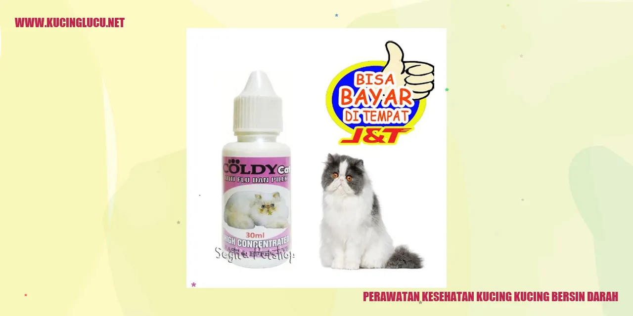 Kucing yang Bersin Darah