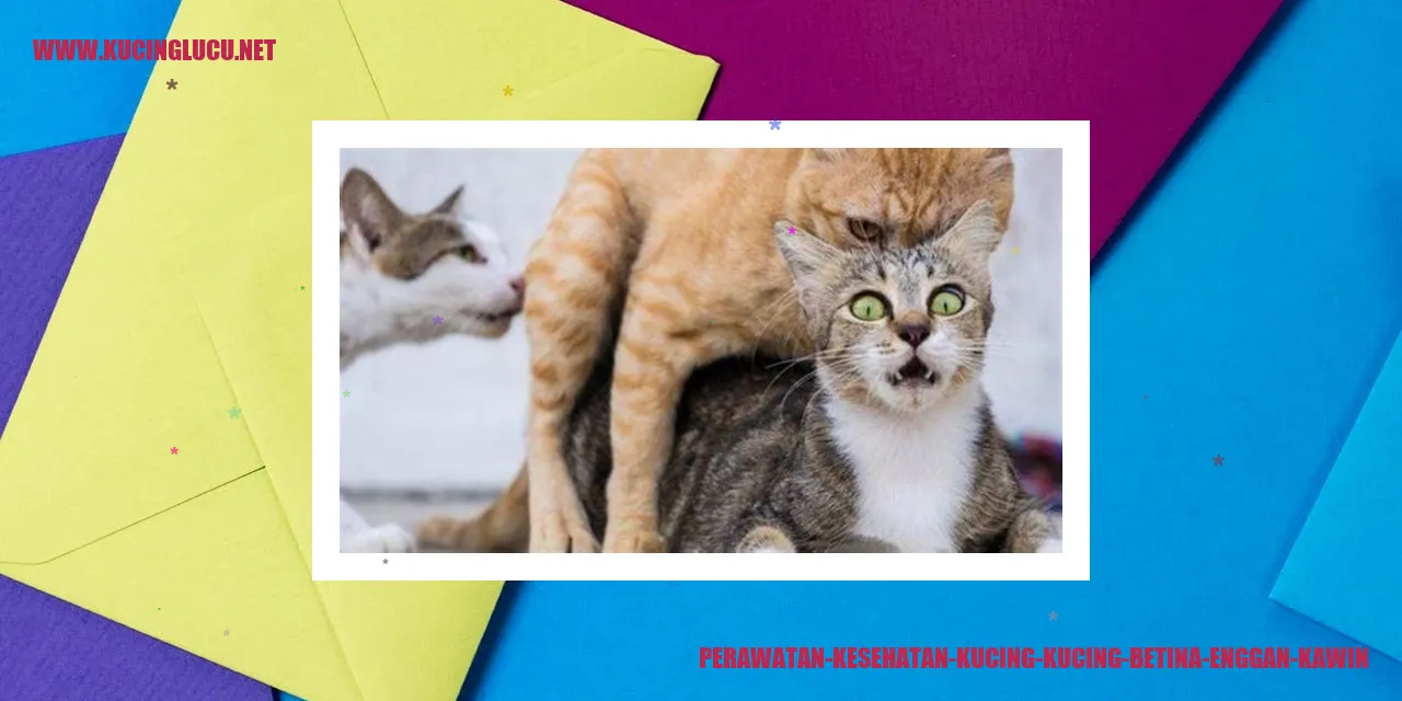 Perawatan Kesehatan Kucing