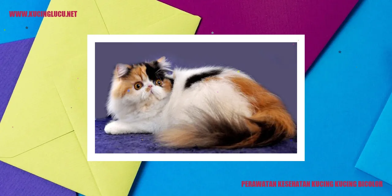 Perawatan Kesehatan Kucing Bicolor