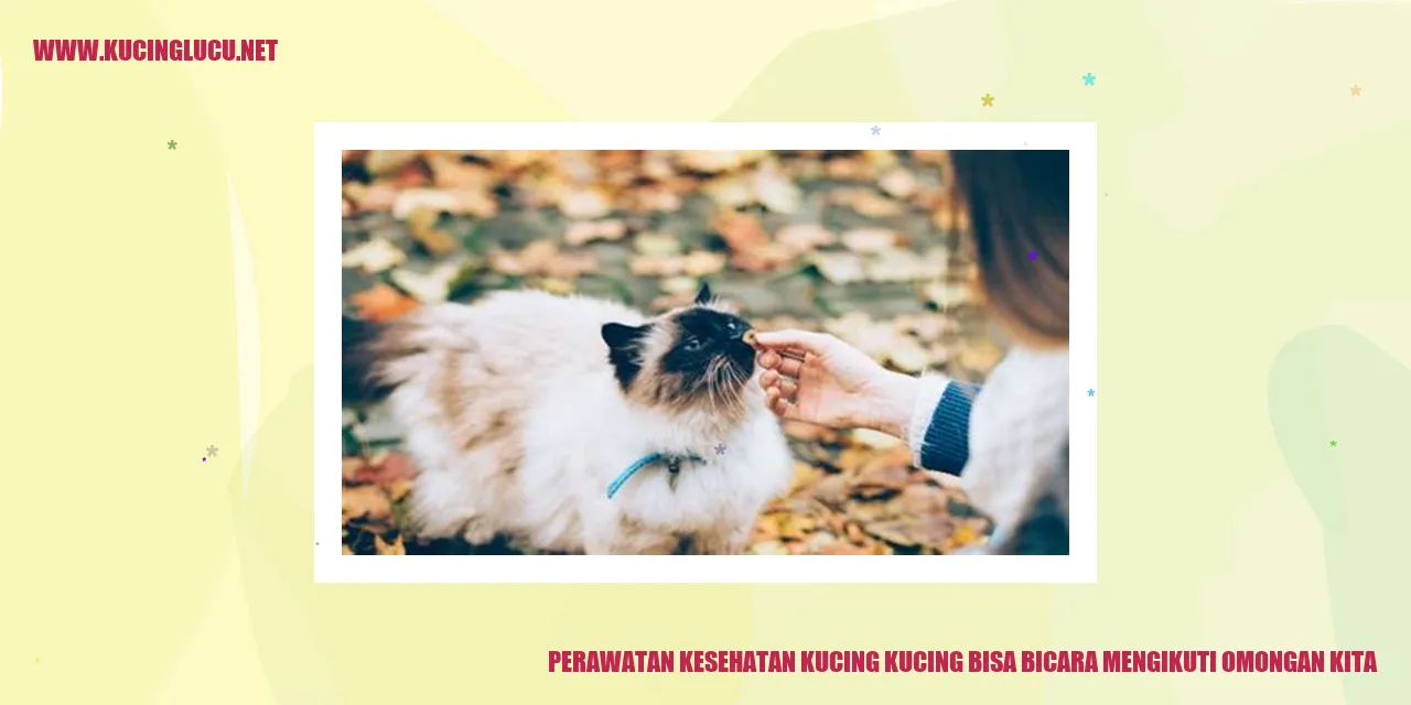 Perawatan Kesehatan Kucing