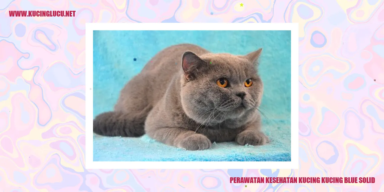 Perawatan Kesehatan Kucing kucing blue solid