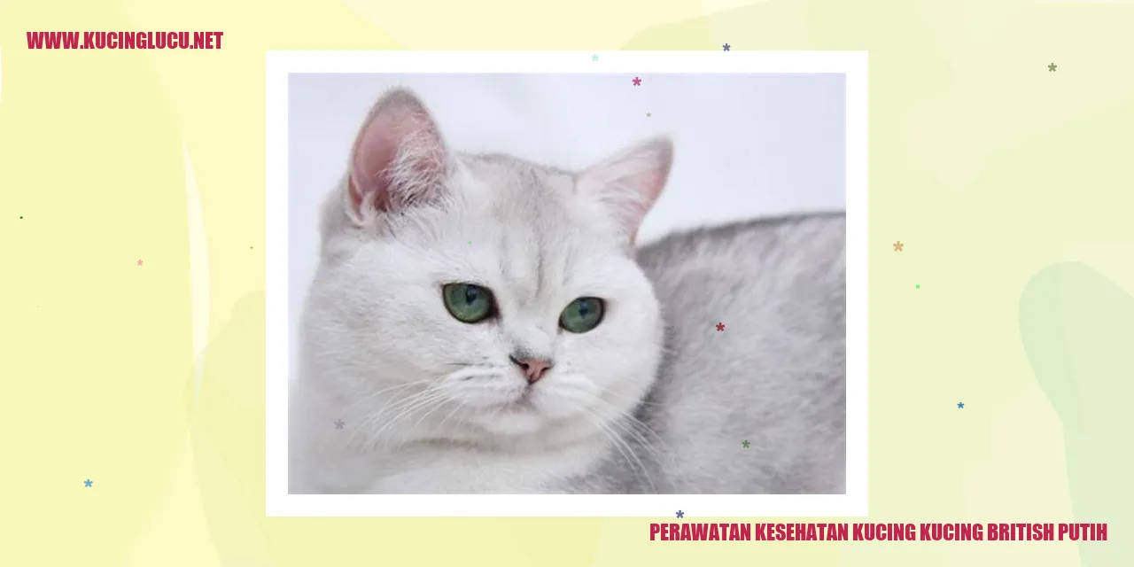 Perawatan Kesehatan Kucing British Putih