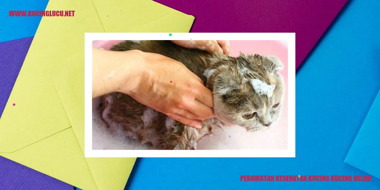 Perawatan Kesehatan Kucing Bulan
