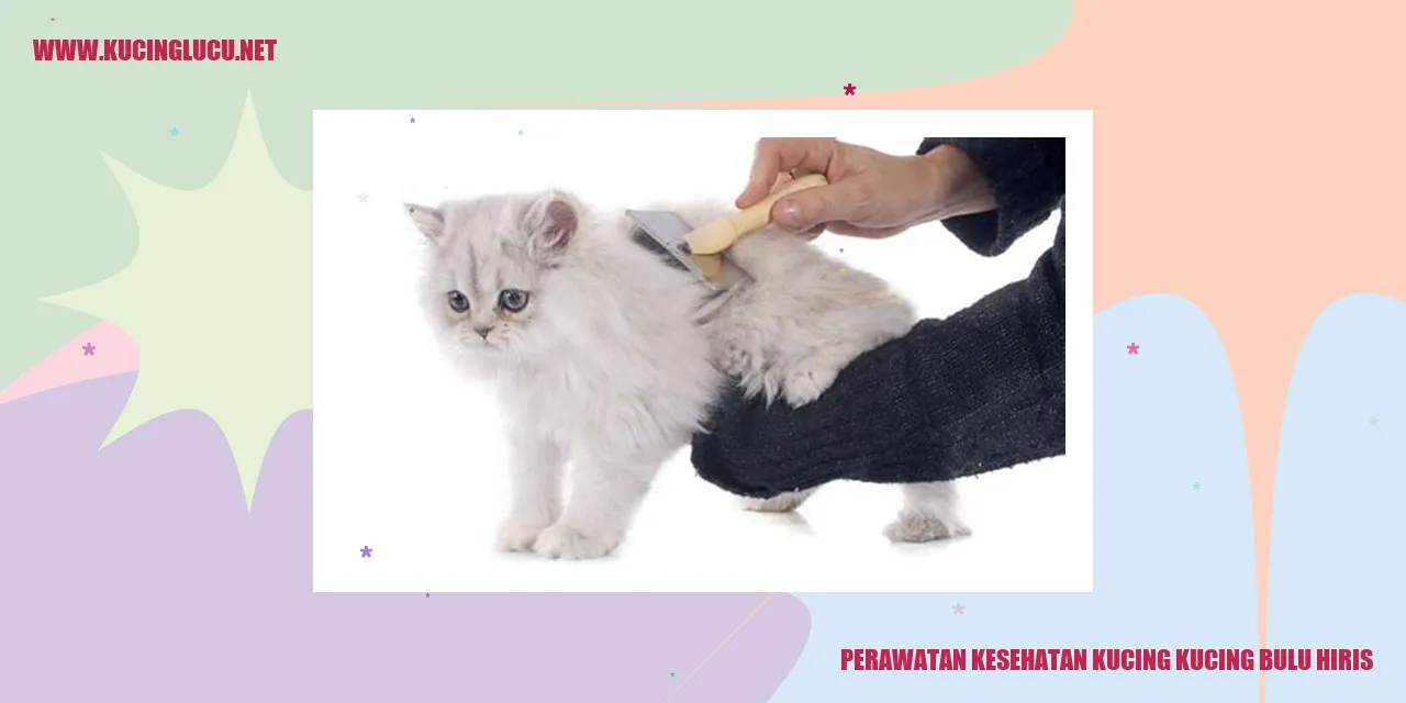 Perawatan Kesehatan Kucing dengan Bulu Hiris
