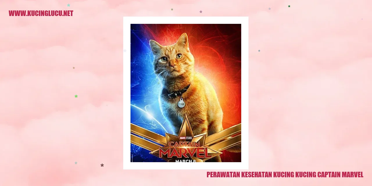 Kucing Captain Marvel