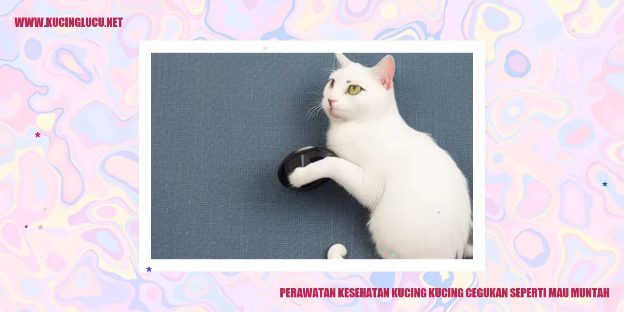 Perawatan Kesehatan Kucing