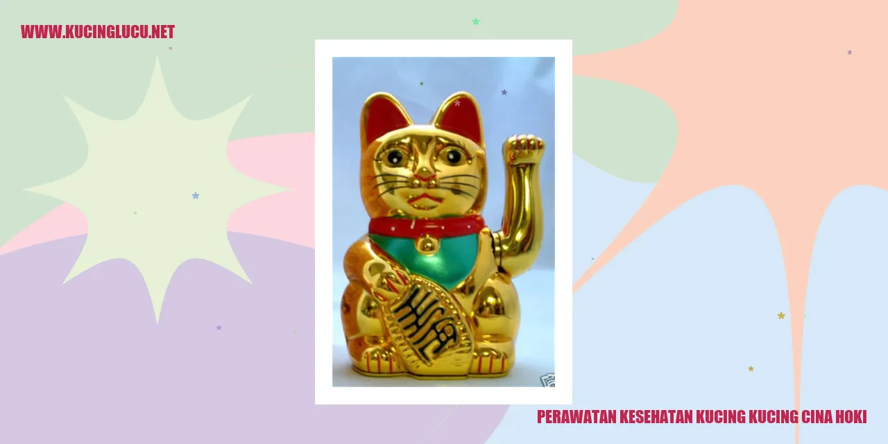 kucing cina hoki