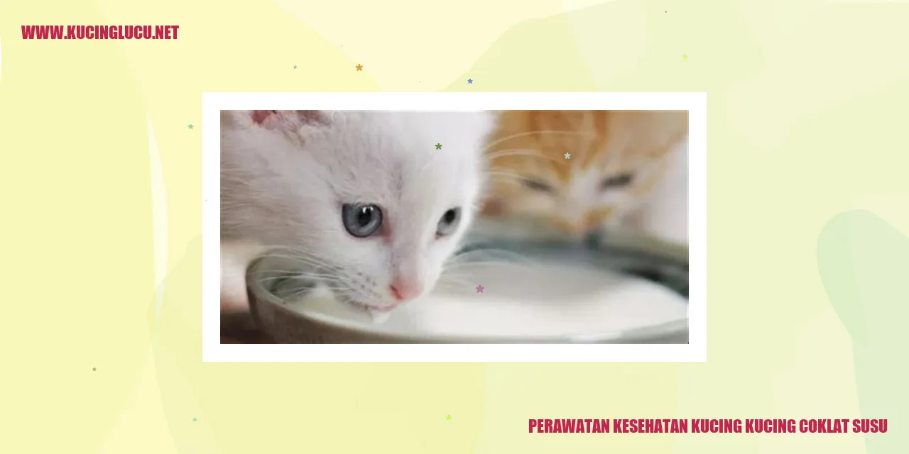 Kucing coklat susu