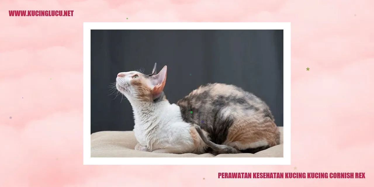 Kucing Cornish Rex yang Menggemaskan
