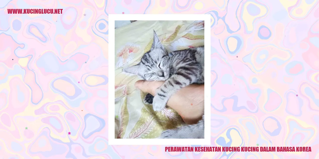 Perawatan Kesehatan Kucing