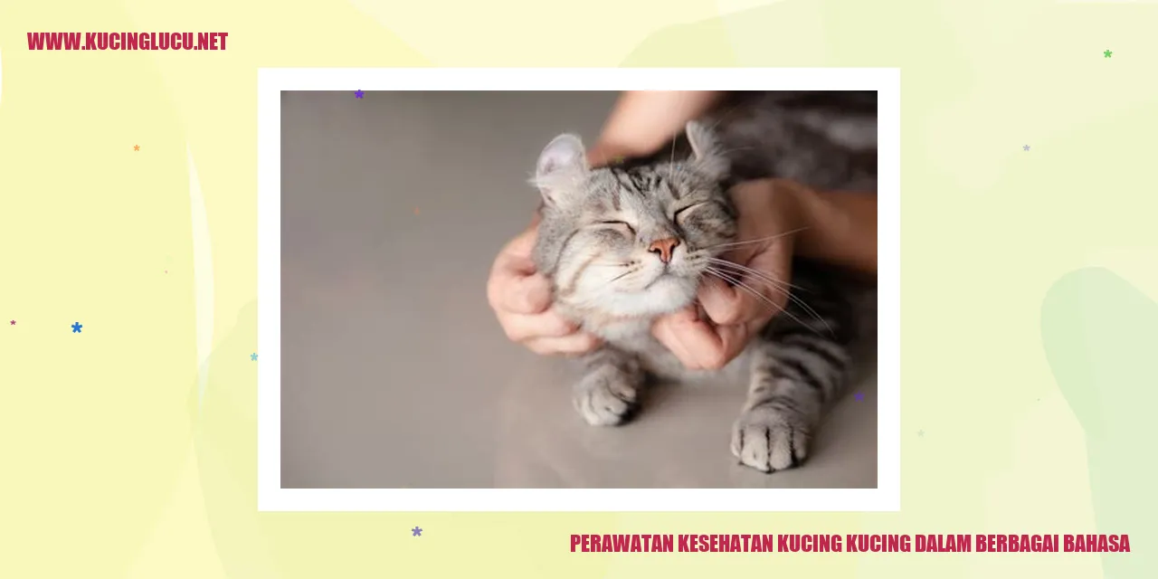Perawatan Kesehatan Kucing dalam Berbagai Bahasa