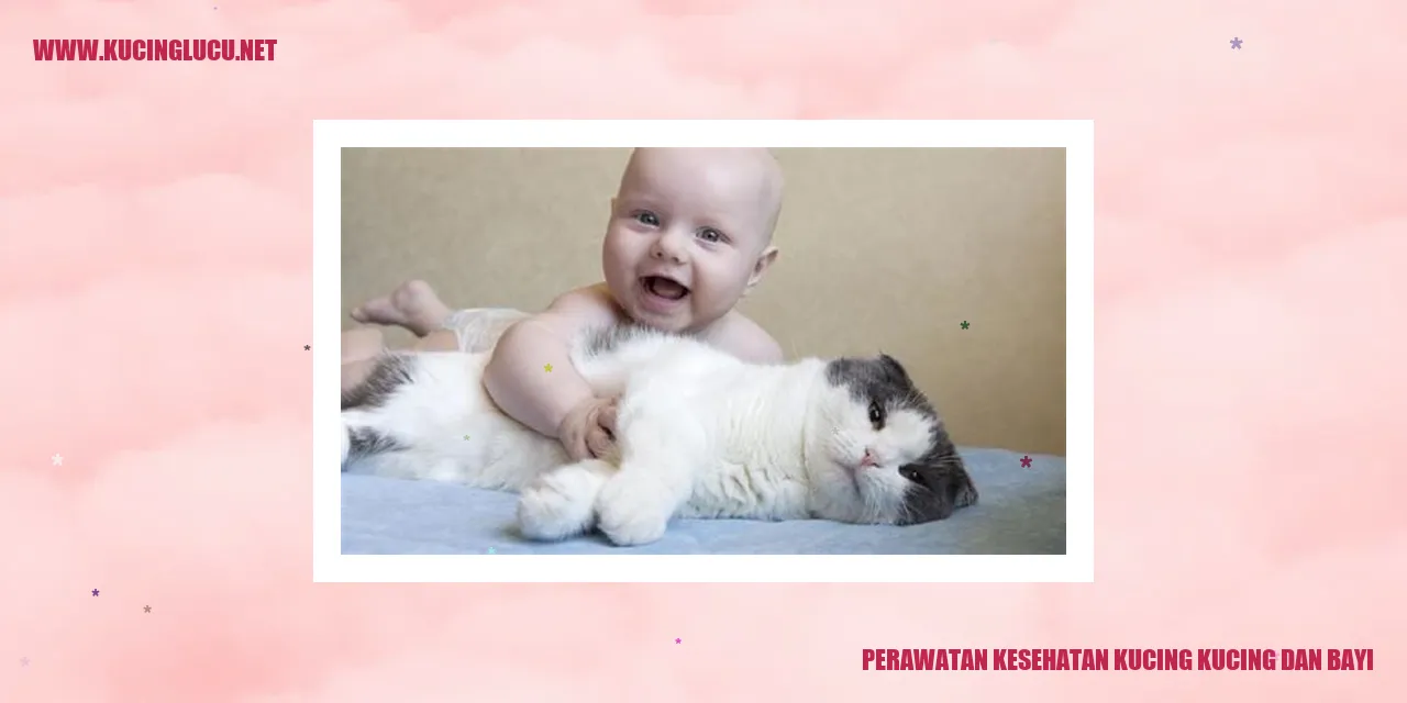 gambar kucing dan bayi