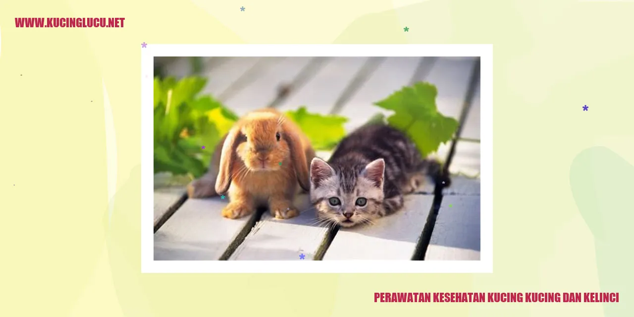 Gambar Kucing dan Kelinci