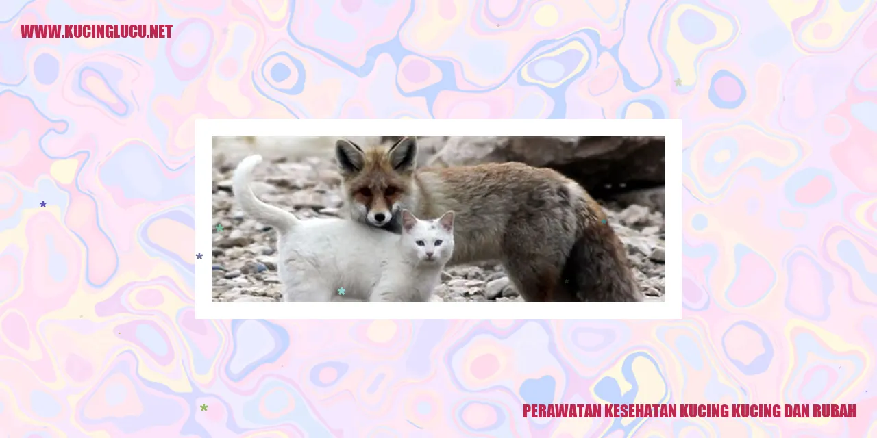 Gambar Kucing dan Rubah