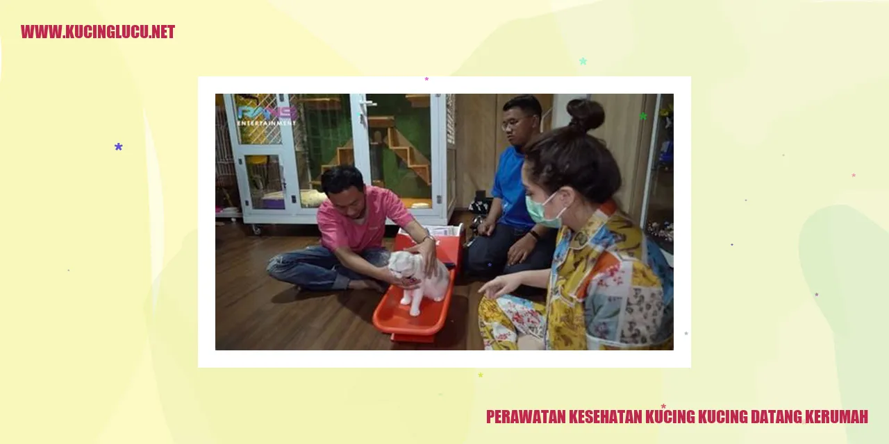 Perawatan Kesehatan Kucing