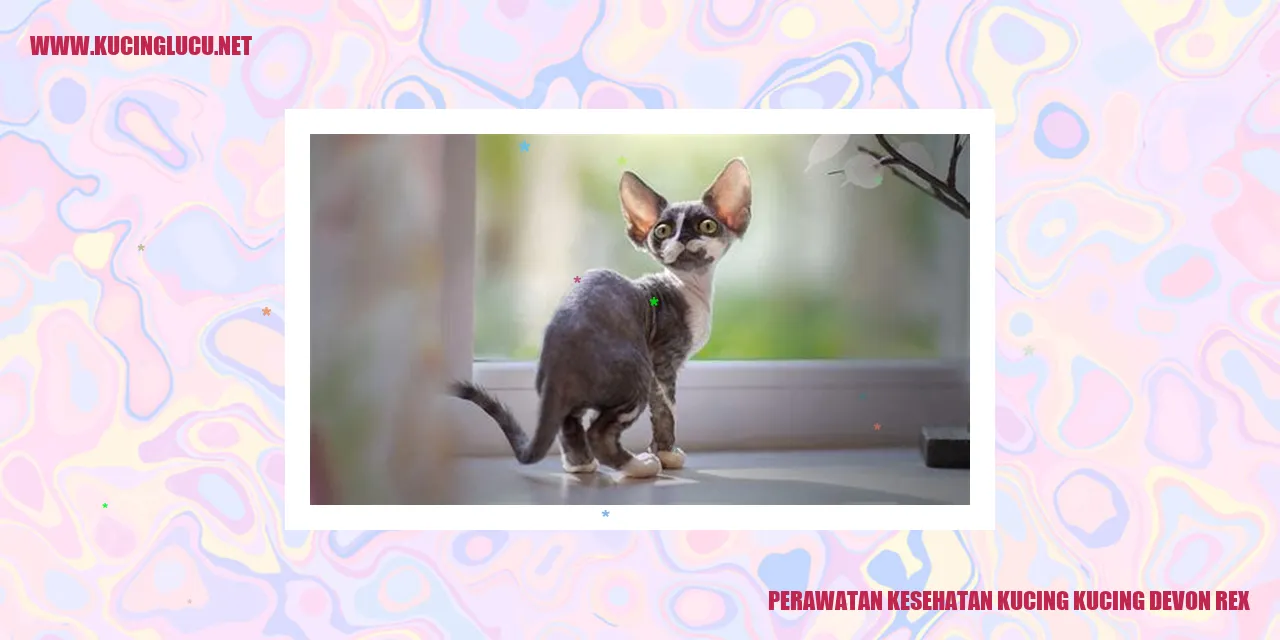 Perawatan Kesehatan Kucing Devon Rex