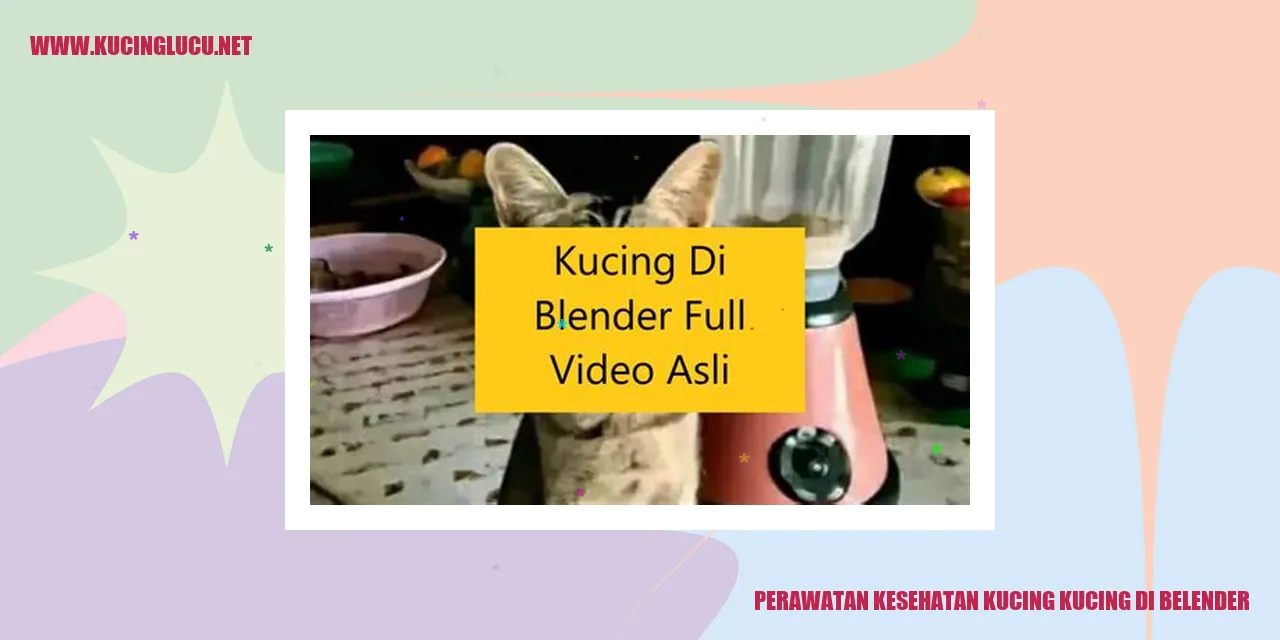 Perawatan Kesehatan Kucing di Belender