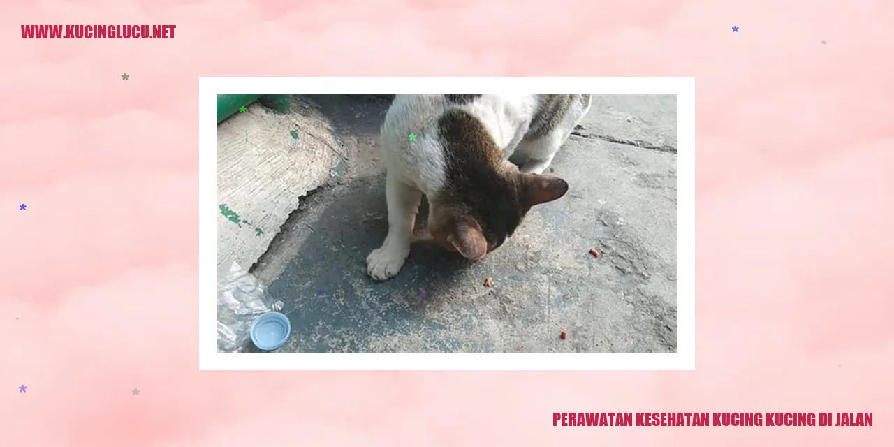 Kucing di jalan